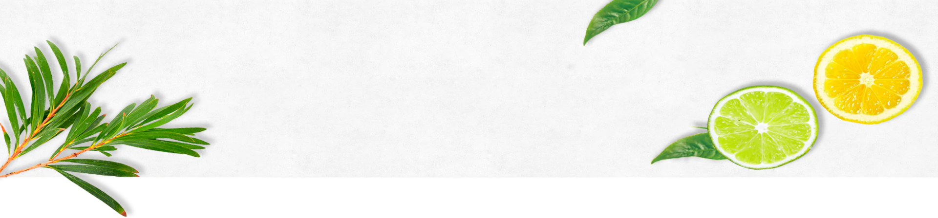 breadcrumb